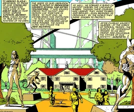 Earth-87050 from New Mutants Vol 1 49