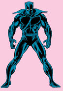 T'Challa (Earth-616) from Official Handbook of the Marvel Universe Vol 1 2 001