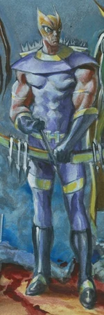 Space Punisher (Earth-12091)