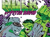 Incredible Hulk by Peter David Omnibus Vol 1 2