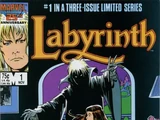 Labyrinth Vol 1