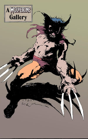 Wolverine Vol 2 10 Back.jpg