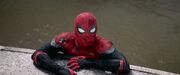 イリュージョンが再生するのを目撃するスパイダーマン