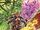 Chris Claremont Anniversary Special Vol 1 1