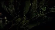 Its hand