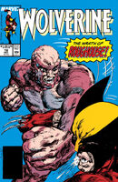 Wolverine Vol 2 18