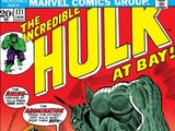 Incredible Hulk Vol 1 171