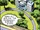 Sherwood Nursing Home from Amazing Spider-Man Annual Vol 1 18 0001.jpg