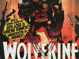 Wolverine Vol 2 300