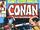 Conan the Barbarian Annual Vol 1 12