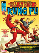 Deadly Hands of Kung Fu Vol 1 9