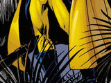 Kevin Sidney (Earth-1081)