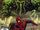 Marvel Adventures Spider-Man Vol 1 18