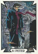 Peter Parker (Earth-616) from Todd Macfarlane (Trading Cards) 0006