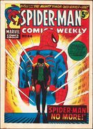 Spider-Man Comics Weekly #44 (December, 1973)