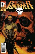 Punisher Vol 5 (2000–2001) 12 issues