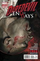 Daredevil End of Days Vol 1 2
