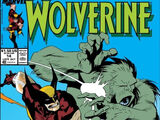 Wolverine Vol 2 14