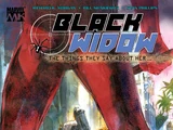 Black Widow: The Things They Say About Her TPB Vol 1 1