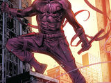 Matthew Murdock (Terra-616)