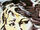 Filene Abdol (Earth-616) from Marvel Graphic Novel Vol 1 17 001.jpg