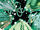 Outer Circle (Earth-616) from Captain America Sentinel of Liberty Vol 2 5 001.jpg