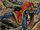 Stephen Strange (Earth-TRN1121)