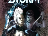 Storm Vol 3 2