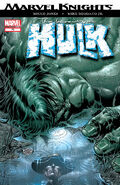 Incredible Hulk Vol 2 #70 "Simetry" (June, 2004)