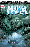 Incredible Hulk (Vol. 2) #70 "Simetry" Release date: April 14, 2004 Cover date: June, 2004