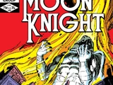 Moon Knight Vol 1 20