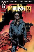 Punisher The End Vol 1 1