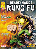 Deadly Hands of Kung Fu #19 "Shall I Love the Bird of Fire?" Release date: November 4, 1975 Cover date: December, 1975