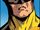 Demolition Man (Hob-Heroes) (Earth-616) from AXIS Hobgoblin Vol 1 3 002.jpg