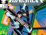 Punisher Vol 2 1