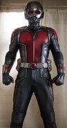 Scott Lang (Earth-199999) from Ant-Man (film) 003.jpg (55 KB) From Ant-Man
