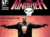Punisher Vol 6 20