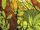 Cotati from Road to Empyre The Kree Skrull War Vol 1 1 002.jpg