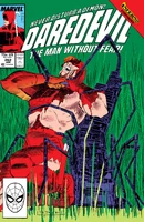 Daredevil #262 "I Found Me in a Gloomy Wood Astray"