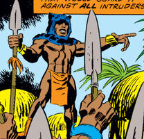 Bashenga (Second Black Panther; currently deceased)