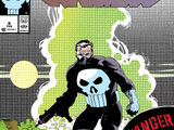 Punisher Vol 2 6