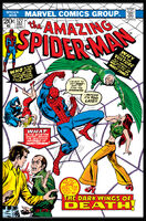 Amazing Spider-Man Vol 1 127