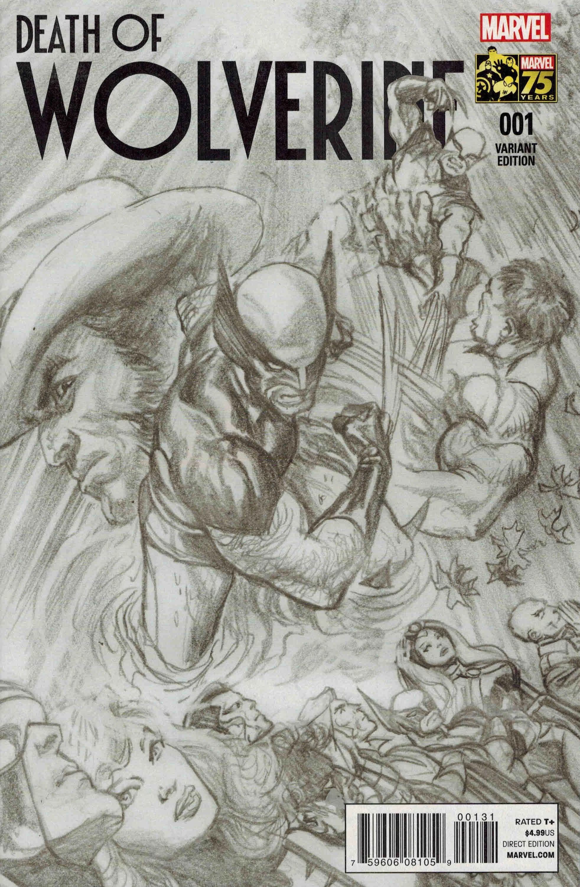 Heft (Alex Ross Sketch Variant)