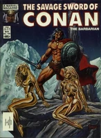 Savage Sword of Conan Vol 1 100.jpg (56 KB) Savage Sword of Conan #100