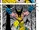 Wolverine (Doppelganger) (Earth-616)