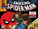 Amazing Spider-Man Vol 1 206