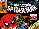 Amazing Spider-Man Vol 1 206