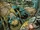 James Howlett (Earth-TRN1120) from Marvel Knights Hulk Vol 1 4 001.jpg