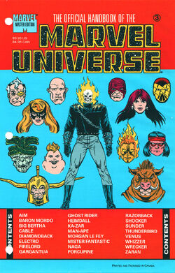 Official Handbook of the Marvel Universe Master Edition Vol 1 3.jpg