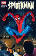 Amazing Spider-Man #518 ""Skin Deep" Part 4" (May, 2005)